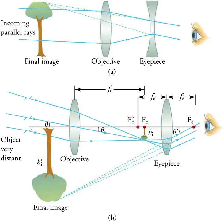 In view (a), moving from left to right, there is a tree (which is a real final image), an objective, an eyepiece, and an eye. Incoming parallel rays of light pass through the objective (which is convex) and the eyepiece (which is concave) to the eye. In view (b), moving from left to right, there is an inverted tree (which is a magnified final image), an objective and an eyepiece (both of which are convex), and an eye. Incoming rays of light pass through the first objective and converge, then pass through the second lens (the eyepiece) to the eye.