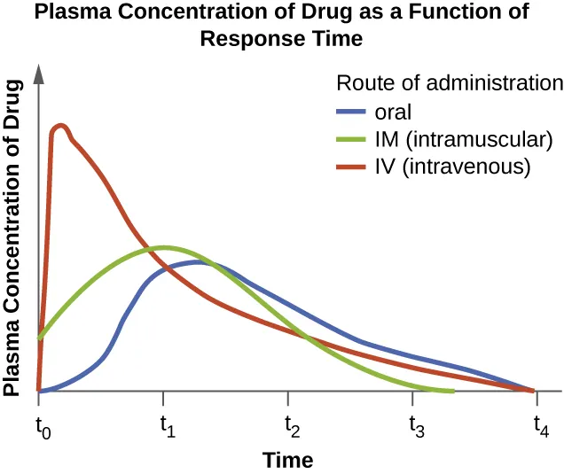 Graph with time on the X axis and Plasma Concentration of Drug on the Y axis. IV route increases plasma concentration very quickly and then tapes off. Intramuscular rout and oral route increase concentrations more slowly with the intramuscular route being a bit faster than oral but also dropping off more quickly.