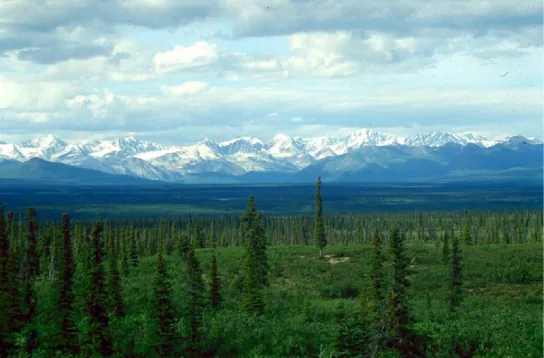  Photo shows a boreal forest with a uniform low layer of plants and tall conifers scattered throughout the landscape. The snowcapped mountains of the Alaska Range are in the background.