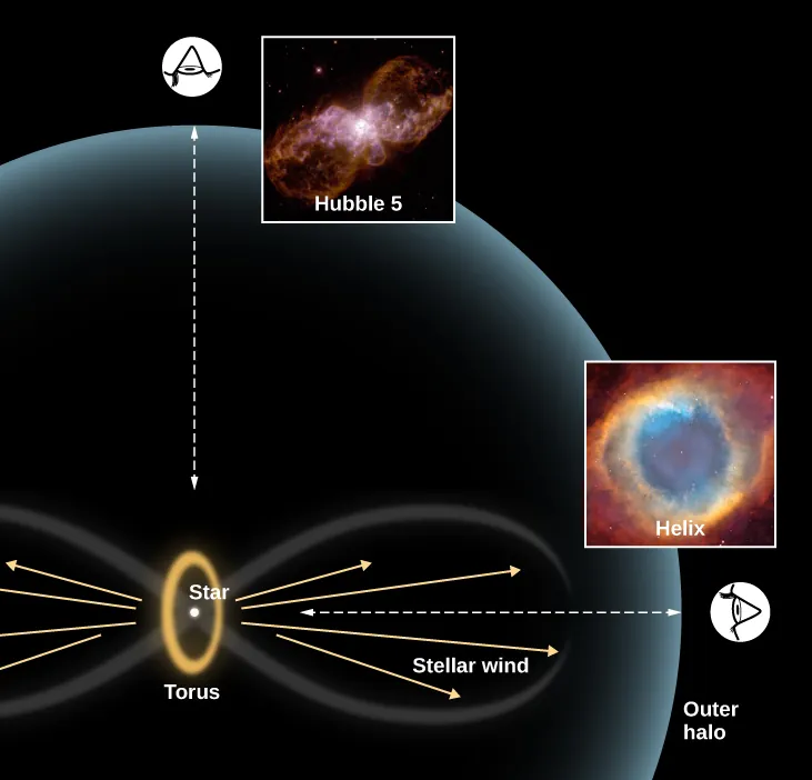 Diagram to Explain the Different Shapes of Planetary Nebulae. In the lower left-hand portion of this figure, a schematic representation of a planetary nebula is shown. A yellow ellipse, labeled “Torus” is drawn with a white dot labeled “Star” at its center. The long axis of the ellipse is oriented vertically. Several yellow arrows are drawn horizontally pointing away from the star. These are labeled “Stellar wind.” A faint figure-eight encloses the stellar wind on each side of the star and torus. Finally, a large, faint “Outer halo” surrounds the figure-eight and torus, centered on the star. At top left, directly above the star, the profile of a human eye is shown looking in the direction of the star. The line of sight is marked with a double-headed dashed arrow. What a planetary nebula would look like along this line of sight is illustrated with an image of Hubble 5 to the right of the eye. Another eye is drawn at lower right looking through the figure-eight toward the star. The line of sight is marked with a double-headed dashed arrow. What a planetary nebula would look like along this line of sight is illustrated with an image of the Helix Nebula above the eye.