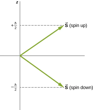 The two possible spin states of the electron are illustrated as vectors of equal length, one pointing up and right, representing vector S spin up, and the other pointing down and right, representing spin down. The two vectors are at the same angle to the horizontal. Spin up has a z component of plus h bar over two, and spin down has a z component of minus h bar over 2.