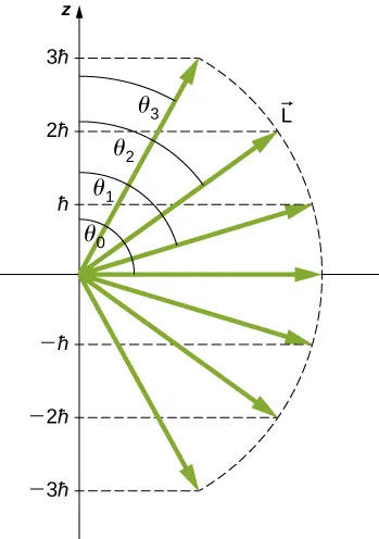 Siete vectores, todos de la misma longitud L, se dibujan en 7 ángulos diferentes con respecto al eje de la z. Las componentes z de los vectores se indican tanto con líneas horizontales desde la punta del vector hasta el eje de la z y con marcas en el eje de la z. Para cuatro de los vectores, también se marca el ángulo entre el eje de la z y el vector. Los valores de la componente z son 3 h barra en el ángulo theta sub tres, 2 h barra en el ángulo theta sub dos, h barra en el ángulo theta sub uno, cero en el ángulo theta sub cero, menos h barra, menos 2 h barra y menos 3 h barra.
