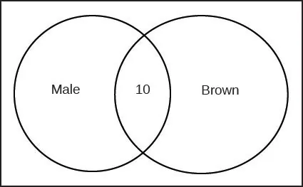 This is a Venn diagram, two overlapping circles inside a rectangle. The left circle is labeled Male. The right circle is labeled Brown. The overlapping section shows the number 10.