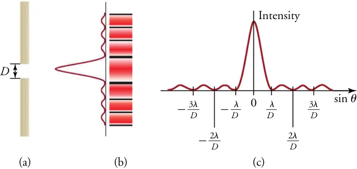 (a) A drawing of a single slit in a vertical screen. The slit has width labeled “D.” (b) Drawing showing two patterns. On the left, a graph has a series of peaks and valleys that grow horizontally to the left. The central peak is largest, with much smaller peaks arranged symmetrically above and below it. To the right of the graph, a second pattern is a vertical array of horizontal bright bands separated by dark bands. They are aligned with the peaks of the graph in the first drawing. The bands are all of the same length but are of differing widths. The widest band is in the center and narrower bands are arranged symmetrically above and below it. (c) A version of the graph of the pattern in drawing (b) rotated so that the peaks grow upward from a horizontal axis. The height of the peaks is labeled “Intensity,” and the central peak is much higher and wider than the other peaks. The horizontal axis is labeled as the “sine of theta,” and the largest, central peak is located at a point on the horizontal axis labeled “zero.” Three valleys are located to the right of the central maximum at distances that are labeled “lambda divided by D,” “two lambda divided by D,” and “three lambda divided by D.” Three other valleys are located to the left of the center at distances that are labeled “negative lambda divided by D,” “negative two lambda divided by D,” and “negative three lambda divided by D.”