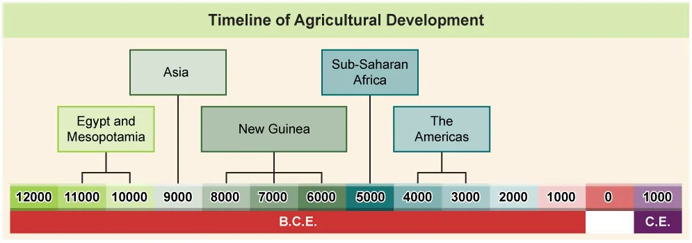 Figure is a Timeline of Agricultural Development. The timeline covers the year range of 12000 B.C.E. to 1000 C.E. Between the years 11000 B.C.E. and 10000 B.C.E., Egypt and Mesopotamia began developing agricultural techniques. In the 9000s B.C.E. Asia began developing agricultural techniques. Between the years 8000 B.C.E. and 6000 B.C.E., New Guinea began developing agricultural techniques. In the 5000s B.C.E., Sub-Saharan Africa began developing agricultural techniques. Between the years 4000 B.C.E. and 3000 B.C.E., the Americas began developing agricultural techniques.