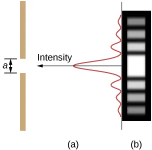 Figure a shows a vertical line on the left side. This has a gap of length a. A vertical wave is shown on the right. The wave has a high crest in the center, corresponding to the slit. The wave attenuates on both top and bottom. An arrow along the central crest of the wave, pointing towards the slit is labeled intensity. Figure b shows a strip with horizontally marked light and dark lines. The central line, corresponding to the slit is the brightest.