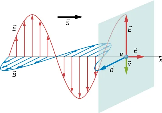 Fala elektromagnetyczna rozchodzi się w kierunku dodatniej osi x. Pokazane jest pole elektryczne jako sinusoidalna fala w płaszczyźnie xy i pole magnetyczne jako sinusoidalna fala w płaszczyźnie xz. Wektor S wskazuje kierunek rozchodzenia się. Pokazany jest elektron na osi x. Cztery wektory wychodzą ze środka układu współrzędnych. Wektor E wskazuje na dodatni kierunek y, wektor B wskazuje na dodatni kierunek z, wektor F wskazuje na dodatni kierunek x a wektor v wskazuje na ujemny kierunek y. E i B są równej długości. F i v są równe co do długości i mniejsze niż pozostałe dwa.