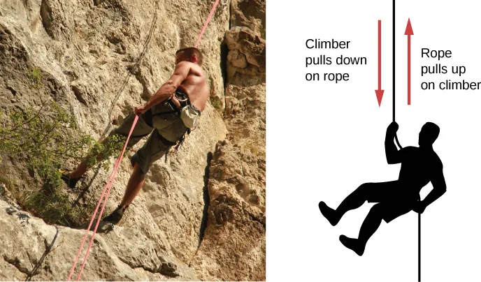 A photograph of a mountain climber is shown on the left. A figure of a mountain climber is shown on the right. An arrow pointing down is labeled climber pulls down on rope. An arrow pointing up is labeled rope pulls up on climber.