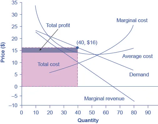 The graph shows that the point for profit maximizing output occurs where marginal revenue equals marginal cost. In addition, profit maximizing price is given by the height of the demand curve at the profit maximizing quantity.