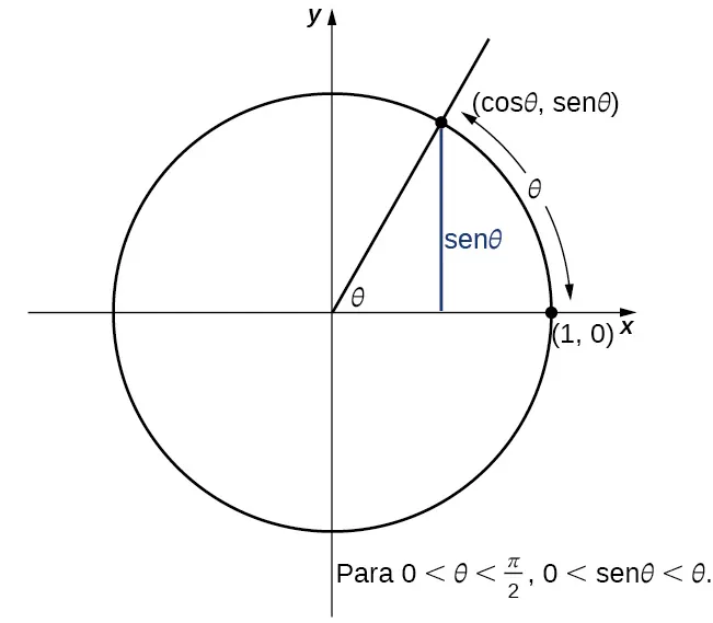 Un diagrama del círculo unitario en el plano x,y - es un círculo con radio 1 y centro en el origen. Un punto específico (cos(theta), sen(theta)) está marcado en el cuadrante 1 en el borde del círculo. Este punto es un vértice de un triángulo rectángulo dentro del círculo, con los otros vértices en el origen y (cos(theta), 0). Como tal, las longitudes de los lados son cos(theta) para la base y sen(theta) para la altura, donde theta es el ángulo creado por la hipotenusa y la base. La medida del radián del ángulo theta es la longitud del arco que subtiende en el círculo unitario. El diagrama muestra que para 0 < theta < pi/2, 0 < sen(theta) < theta.
