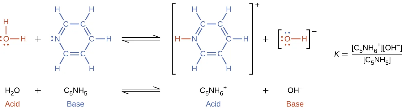 This figure has two rows. In both rows, a chemical reaction is shown. In the first, structural formulas are provided. In this model, in red, is an O atom which has H atoms singly bonded above and to the right. The O atom has lone pairs of electron dots on its left and lower sides. This is followed by a plus sign. The plus sign is followed, in blue, by an N atom with one lone pair of electron dots. The N atom forms a double bond with a C atom, which forms a single bond with a C atom. The second C atom forms a double bond with another C atom, which forms a single bond with another C atom. The fourth C atom forms a double bond with a fifth C atom, which forms a single bond with the N atom. This creates a ring structure. Each C atom is also bonded to an H atom. An equilibrium arrow follows this structure. To the right, in brackets is a structure where an N atom bonded to an H atom, which is red, appears. The N atom forms a double bond with a C atom, which forms a single bond with a C atom. The second C atom forms a double bond with another C atom, which forms a single bond with another C atom. The fourth C atom forms a double bond with a fifth C atom, which forms a single bond with the N atom. This creates a ring structure. Each C atom is also bonded to an H atom. Outside the brackets, to the right, is a superscript positive sign. This structure is followed by a plus sign. Another structure that appears in brackets also appears. An O atom with three lone pairs of electron dots is bonded to an H atom. There is a superscript negative sign outside the brackets. To the right, is the equation: k equals [ C subscript 5 N H subscript 6 superscript positive sign ] [ O H superscript negative sign] all divided by [ C subscript 5 N H subscript 5 ]. Under the initial equation, is this equation: H subscript 2 plus C subscript 5 N H subscript 5 equilibrium arrow C subscript 5 N H subscript 6 superscript positive sign plus O H superscript negative sign. H subscript 2 O is labeled, “acid,” in red. C subscript 5 N H subscript 5 is labeled, “base,” in blue. C subscript 5 N H subscript 6 superscript positive sign is labeled, “acid” in blue. O H superscript negative sign is labeled, “base,” in red.