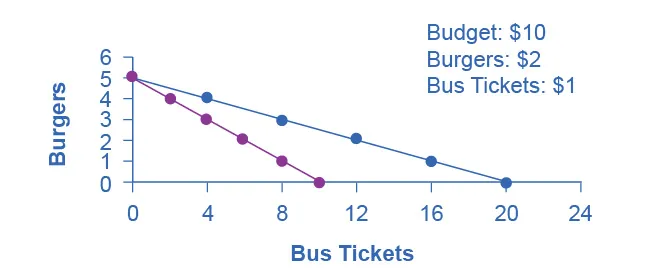 The graph shows how opportunity cost is affected by the purchase of either burgers or bus tickets. The opportunity cost of bus tickets is the number of burgers that must be given up to obtain one more bus ticket.