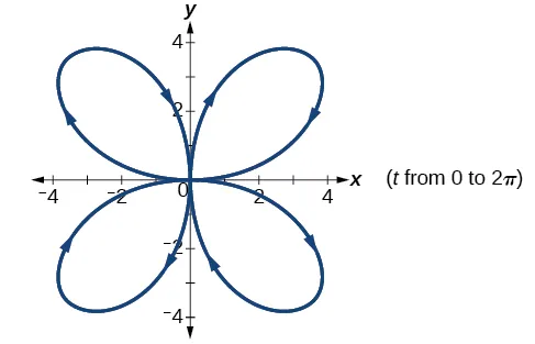Graph of the given equations - a four petal rose