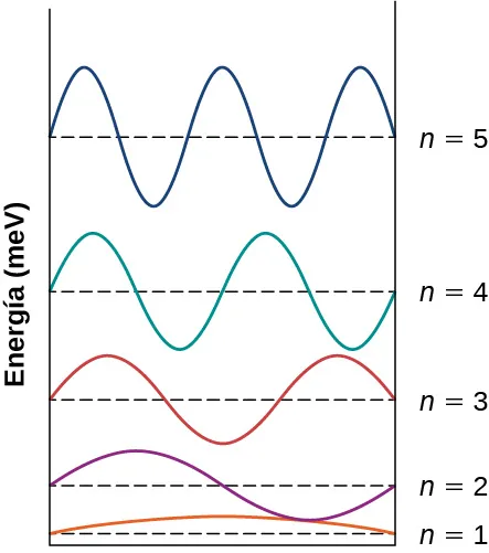 Se muestran las funciones de onda para los estados n=1 a n=5 del electrón en un pozo potencial infinito. Cada función está desplazada verticalmente por su energía, medida en m e V. El estado n=1 es la primera media onda de la función sinusoidal. La función n=2 es la primera onda completa de la función sinusoidal. La función n=3 es la primera onda y media de la función sinusoidal. La función n=4 son las dos primeras ondas de la función sinusoidal. La función n=5 son las dos primeras ondas y media de la función sinusoidal.