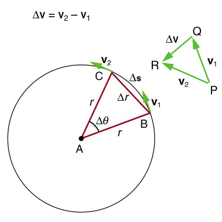 The given figure shows a circle, with a triangle having vertices A B C made from the center to the boundry. A is at the center and B and C points are at the circle path. Lines A B and A C act as radii and B C is a chord. Delta theta is shown inside the triangle, and the arc length delta s and the chord length delta r are also given. At point B, velocity of object is shown as v one and at point C, velocity of object is shown as v two. Along the circle an equation is shown as delta v equals v sub 2 minus v sub 1.