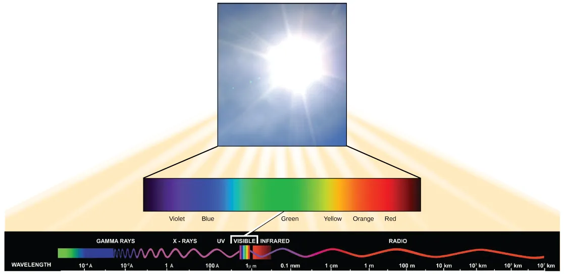 The illustration lists the types of electromagnetic radiation in order of increasing wavelength. These include gamma rays, X-rays, ultraviolet, visible, infrared, and radio. Gamma rays have a very short wavelength, on the order of one thousandth of a nanometer. Radio waves have a very long wavelength, on the order of one kilometer. Visible light ranges from 380 nanometers at the violet end of the spectrum, to 750 nanometers at the red end of the spectrum.