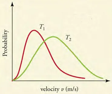 The graph shows a vertical, y-axis labeled Probability and a horizontal, x-axis labeled velocity v (m over s). There are two distribution curves, a red one marked T1 and a green one labeled T2. The red curve rises quickly and the gradually tapers off. The green curve rises slower than the red curve (and thus is to the right of the red curve), peaks lower than the peak of the red curve and then tapers down less quickly than the red curve.