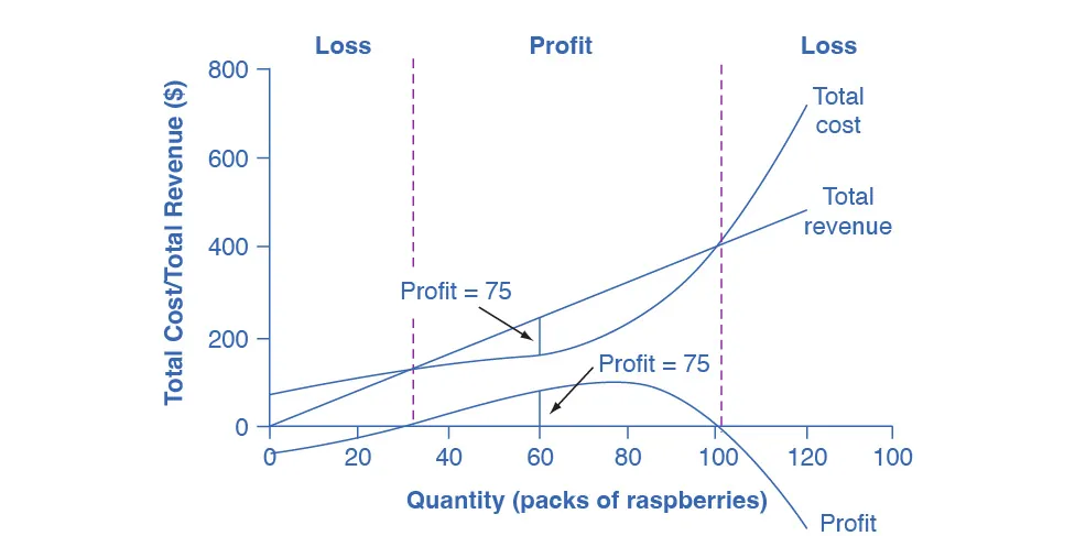 The graph shows that firms will incur a loss if the total cost is higher than the total revenue.  The x-axis is the quantity of raspberry packs.  The y-axis is the total cost/total revenue.  The description of the graph is located in the paragraph below the table.  