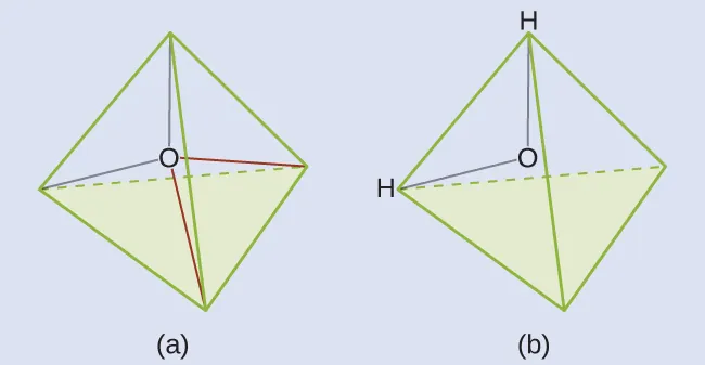 Two diagrams are shown and labeled, “a” and “b.” Diagram a shows an oxygen atom in the center of a four-sided pyramid shape. Diagram b shows the same image as diagram a, but this time there are hydrogen atoms located at two corners of the pyramid shape.