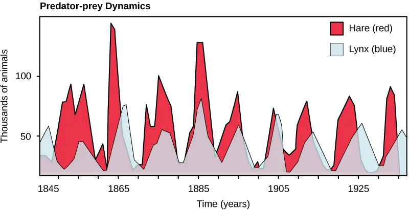 The graph plots number of animals in thousands versus time in years. The number of hares fluctuates between 10,000 at the low points, and 75,000 to 150,000 at the high points. There are typically fewer lynxes than hares, but the trend in number of lynxes follows the number of hares.