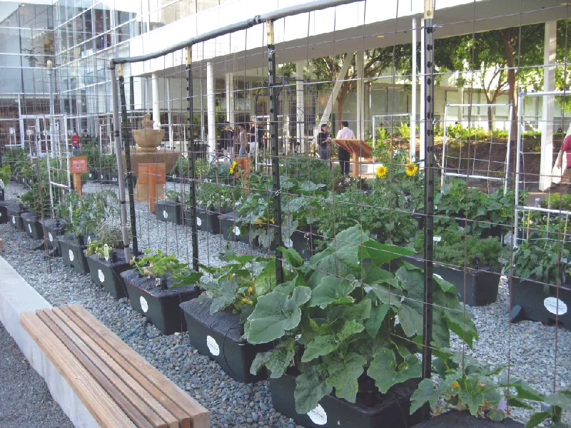 This photo shows a garden next to a building with benches and walkways.