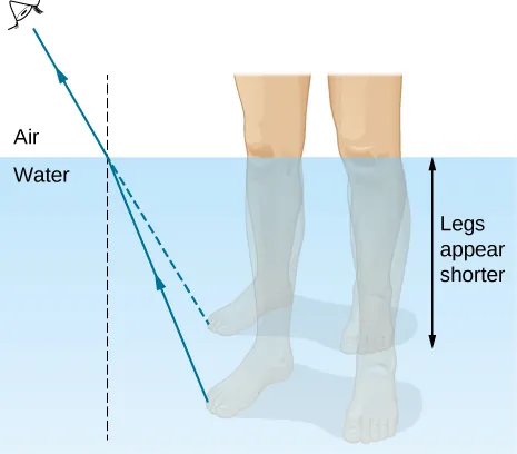 The figure is illustration of the formation of the image of a leg under water, as seen by a viewer in the air above the water. A ray is shown leaving the leg and refracting at the water air interface. The refracted ray bends away from the normal. Extrapolating the refracted ray back into the water, the extrapolated ray is above the actual ray so that the image of the leg is above the actual leg and the leg appears shorter.