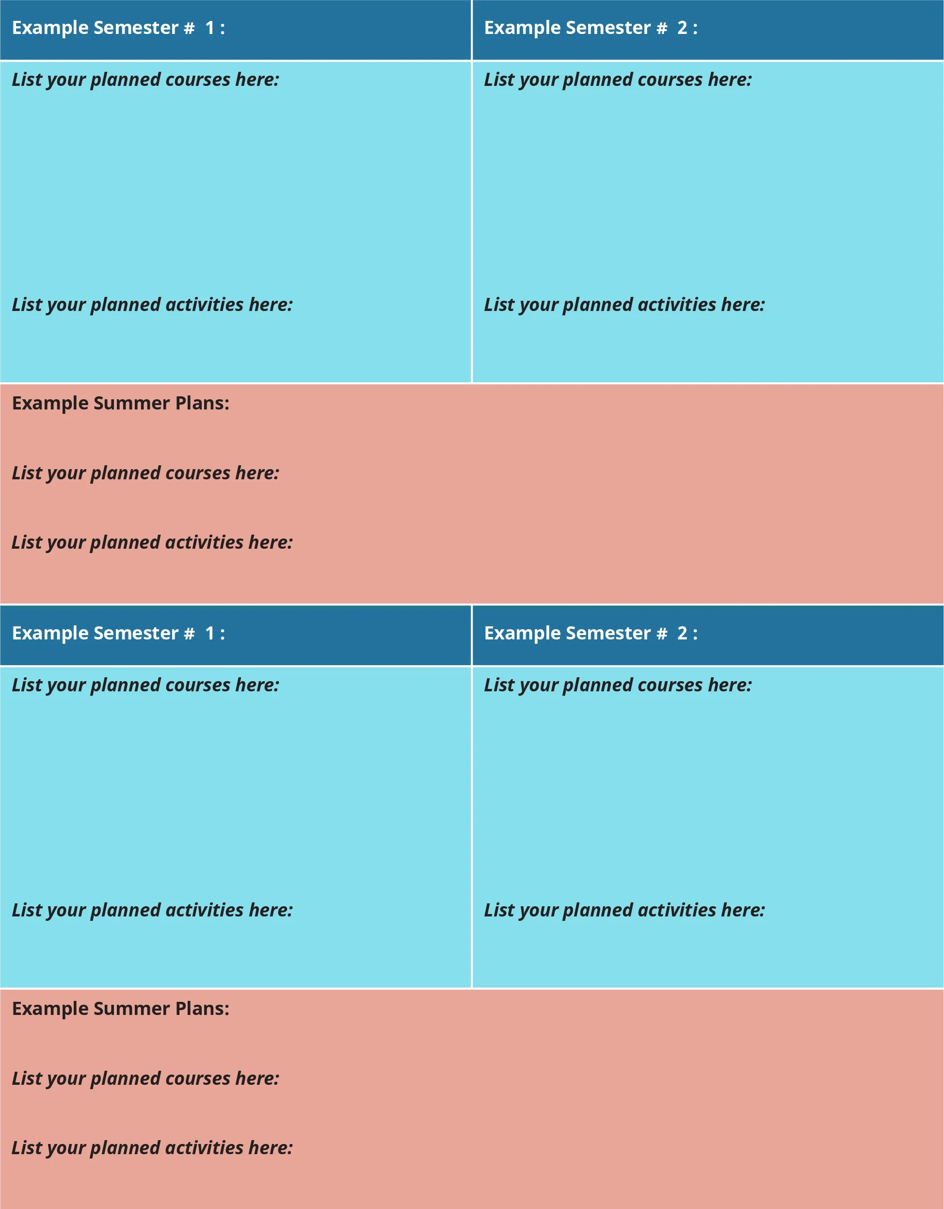 A usable 2 year template of a grid diagram divided into Semester 1, Semester 2, and Summer Plans, including planned courses and activities.