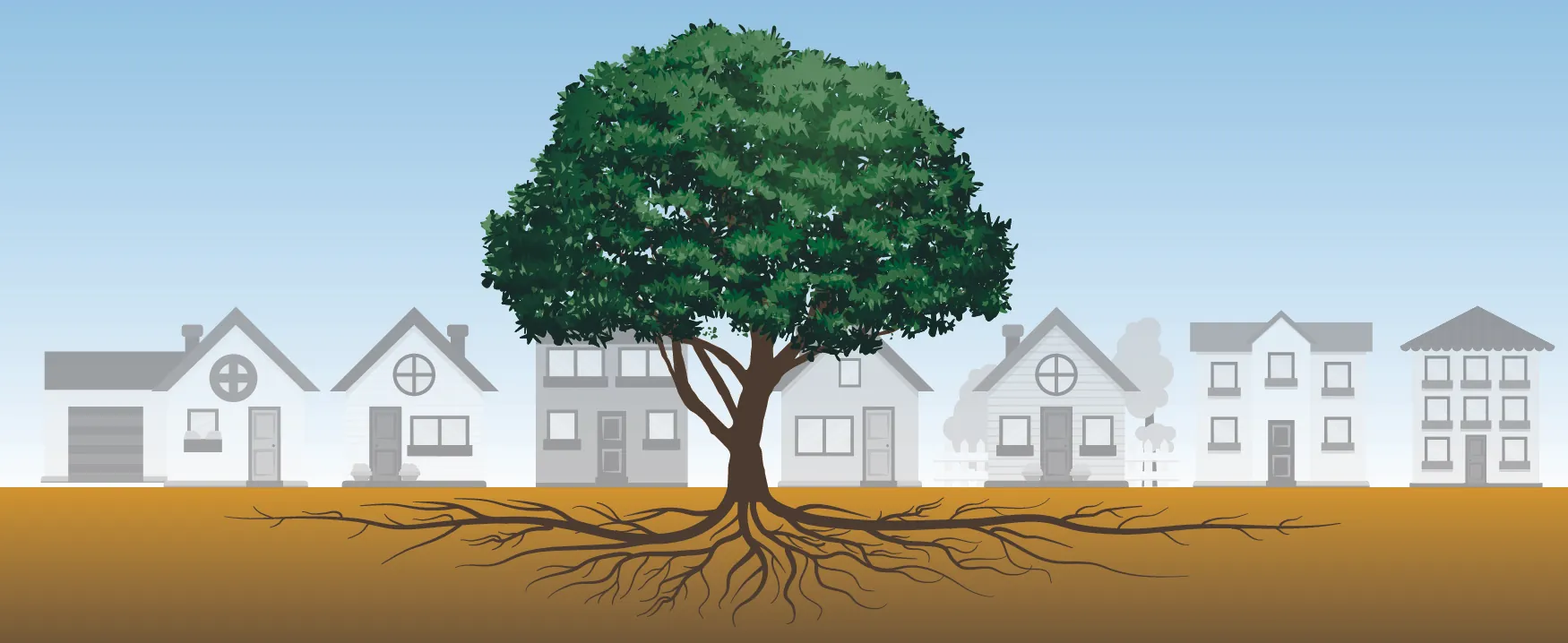 A tree grows centered in front of a row of houses. The tree’s roots spread out underground, extending the width of the row of houses in both directions.