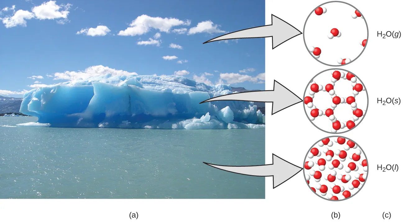La figura A muestra una foto de un iceberg flotando en el mar con tres flechas. Cada flecha apunta a la figura B, que contiene tres diagramas que muestran cómo se organizan las moléculas de agua en el aire, el hielo y el mar. En el aire, que contiene la forma gaseosa del agua, H subíndice 2 O gaseoso, las moléculas de agua están desconectadas y muy espaciadas. En el hielo, que es la forma sólida del agua, H subíndice 2 O sólido, las moléculas de agua están enlazadas en anillos, y cada anillo contiene seis moléculas de agua. Tres de estos anillos están conectados entre sí. En el mar, que es la forma líquida del agua, H subíndice 2 O líquido, las moléculas de agua están muy densamente empaquetadas. Las moléculas no están enlazadas entre sí.