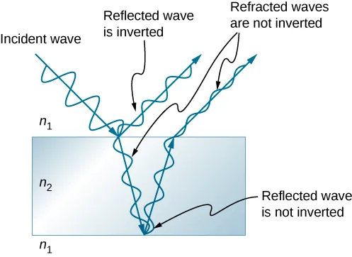 Picture is a schematic drawing of the light undergoing interference by a thin film. Wave reflected from the top of the film is inverted; wave reflected from the bottom of the film is not inverted; refracted waves are not inverted.