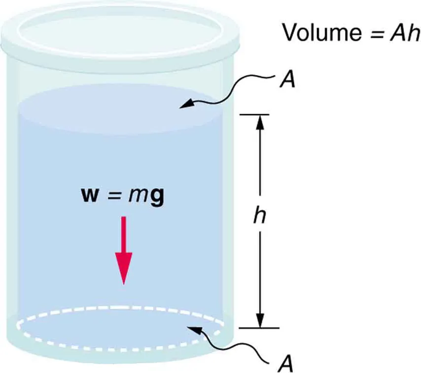 A container with fluid filled to a depth h. The fluid's weight w equal to m times g is shown by an arrow pointing downward. A denotes the area of the fluid at the bottom of the container and as well as on the surface.