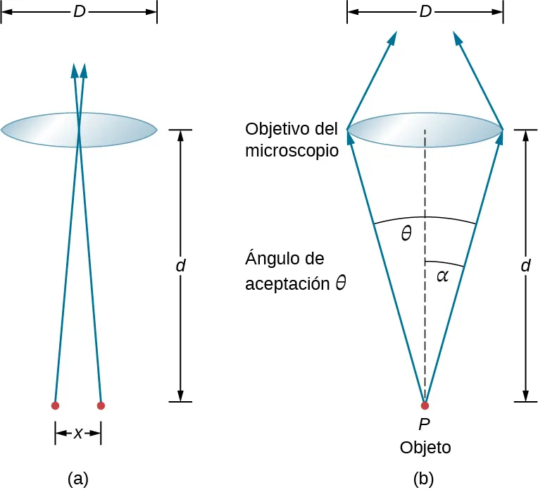 La figura a muestra dos puntos separados por una distancia d. Los rayos se originan en los puntos y se cruzan entre sí a una distancia d de los puntos. En el punto de intersección se coloca una lente de diámetro D. La figura b muestra un punto marcado como P, objeto. De aquí parten dos rayos que inciden en los dos extremos de la lente. Forman un ángulo alfa con el eje central y un ángulo theta entre sí. Theta es el ángulo de aceptación. La lente está marcada como objetivo microscópico. Los rayos vuelven a acercarse al otro lado de la lente.