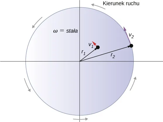 Rysunek pokazuje dwie cząstki na obracającej się tarczy. Cząstka 1 znajduje się w odległości r1 od osi obrotu i porusza się z prędkością v1. Cząstka 2 znajduje się w odległości r2 od osi obrotu i porusza się z prędkością v2.