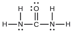A Lewis structure is shown. A nitrogen atom is single bonded to two hydrogen atoms and a carbon atom. The carbon atom is single bonded to an oxygen atom and one nitrogen atom. That nitrogen atom is then single bonded to two hydrogen atoms. The oxygen atom has two lone pairs of electron dots, and the nitrogen atoms have one lone pair of electron dots each.