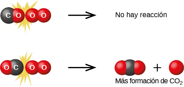 Se muestra un diagrama que ilustra dos posibles colisiones entre C O y O subíndice 2. En el diagrama, los átomos de oxígeno se representan como esferas rojas y los de carbono como esferas negras. El diagrama está dividido en las mitades superior e inferior por una línea horizontal discontinua. En la parte superior izquierda, se muestra una molécula de C O que choca con una molécula de O subíndice 2 de forma que el átomo de O de la molécula de C O está en el punto de colisión. Alrededor de esta colisión hay una mezcla de moléculas de C O y O subíndice 2 de diferentes tamaños. En la zona superior central de la figura, dos átomos de O separados se muestran como esferas rojas con la etiqueta "Oxígeno a oxígeno" debajo. En la parte superior derecha está escrito "Sin reacción". Del mismo modo, en la parte inferior izquierda del diagrama, se muestra una molécula de C O que choca con una molécula de O subíndice 2, de forma que el átomo de C de la molécula de C O se encuentra en el punto de colisión. Alrededor de esta colisión hay una mezcla de moléculas de C O y O subíndice 2 de diferentes tamaños. En la zona central inferior de la figura, se muestran una esfera negra y otra roja con la etiqueta "Carbono a oxígeno" debajo de ellas. En la parte inferior derecha se puede leer "Más formación de C O subíndice 2" y se muestran tres modelos de C O subíndice 2 compuestos cada uno por una sola esfera negra central y dos esferas rojas en disposición lineal.