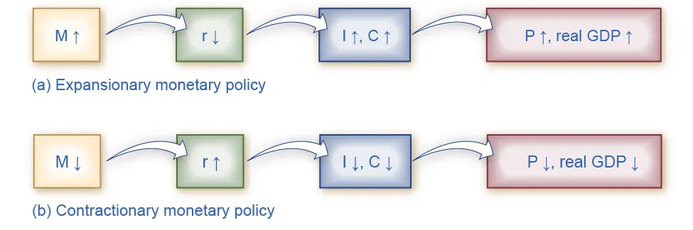 This image is a chart showing the mechanisms through which monetary policy affects output.