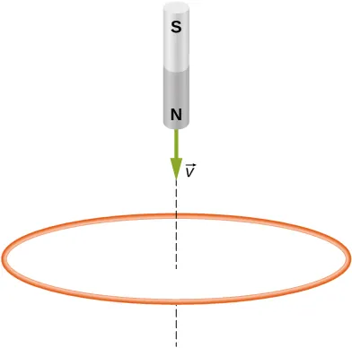Rysunek przedstawia widok poziomej, kołowej pętli. Do płaszczyzny pętli, wzdłuż jej osi – zbliża się od góry rysunku mały magnes sztabkowy. Magnes zwrócony jest biegunem północnym w stronę pętli i zbliża się do niej z prędkością v, której wektor zaznaczony jest na rysunku.