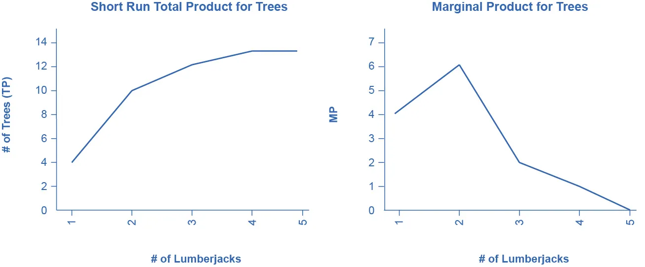 Figure 7.5a is a graph showing the short run total product for trees.  The x-axis is the number of lumberjacks and is numbered one through five.  The y-axis is the number of trees and is numbered zero through sixteen in increments of four.   The curve begins at the left of the graph, at coordinates indicating one lumberjack and four trees.  It curves upward as it moves to the right, as the number of lumberjacks increases.  It levels off at thirteen.                                       Figure 7.5b is a graph showing the marginal product for trees.  The x-axis is the number of lumberjacks and is numbered one through five.  The y-axis is the marginal product and is numbered zero through eight in increments of two.  The curve begins at the left of the graph, at coordinates indicating one lumberjack and a marginal product of four.  It then increases (moves up) to a marginal product of six when the lumberjacks increase to two, but then proceeds downward and to the right as the number of lumberjacks increases, ultimately reaching zero when the number of lumberjacks equals five.                                         