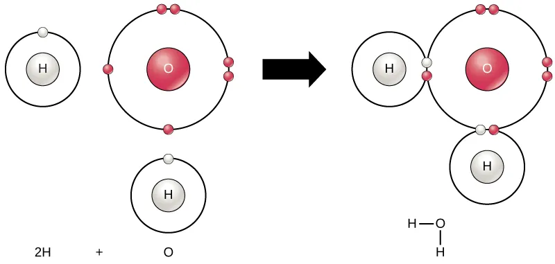 In the first image, an oxygen atom is shown with six valence electrons. Four of these valence electrons form pairs at the top and right sides of the valence shell. The other two electrons are alone on the bottom and left sides. A hydrogen atom sits next to each the lone electron of the oxygen. Each hydrogen has only one valence electron. An arrow indicates that a reaction takes place. After the reaction, in the second image, each unpaired electron in the oxygen joins an electron from one of the hydrogen atoms so that the valence rings are now connected together. The bond that forms between oxygen and hydrogen can also be represented by a dash.