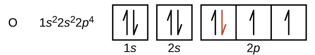 Esta figura incluye el símbolo del elemento O seguido de la configuración de electrones 1 s superíndice 2 2 s superíndice 2 2 p superíndice 4. A continuación se muestra un diagrama orbital que consta de dos cuadrados individuales, etiquetados como "1 s" y "2 s", seguidos de una agrupación de tres cuadrados conectados que se etiquetan como "2 p". Todos los cuadrados están orientados en una fila. Los dos cuadrados individuales y el primer cuadrado de la fila de cuadrados conectados contienen un par de medias flechas. Una media flecha de cada par apunta hacia arriba y otra hacia abajo. La flecha que apunta hacia abajo en el primer cuadrado de la fila de cuadrados conectados es roja. Los dos cuadrados restantes contienen cada uno medias flechas que apuntan hacia arriba.
