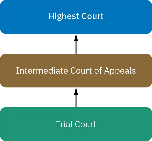 A flow chart shows the structure and hierarchy of the court system in the United States. At the lowest level are the trials courts. If a case is appealed, it may be considered by an intermediate court of appeals. Finally, a case might end up being seen by the highest court.