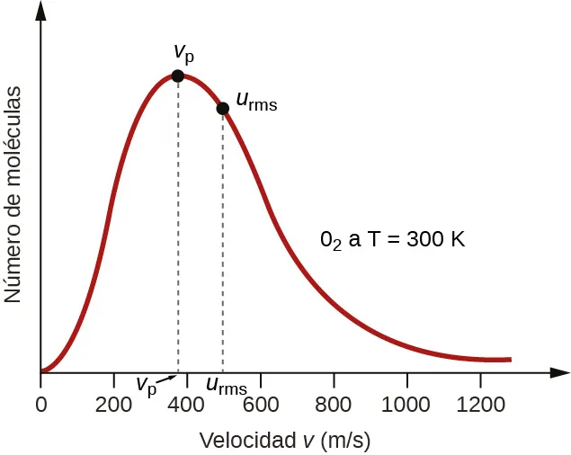 Se muestra un gráfico. El eje horizontal está marcado como "Velocidad u ( m dividido entre s )". Este eje está marcado por incrementos de 20 que comienzan en 0 y se extienden hasta 120. El eje vertical está marcado como "Fracción de moléculas". En rojo se muestra una curva de inclinación positiva o derecha que comienza en el origen y se aproxima al eje horizontal alrededor de 120 m por s. En el pico de la curva, un punto se indica con un punto negro y se marca, "v subíndice p". Una línea discontinua vertical se extiende desde este punto hasta el eje horizontal, en cuyo punto la intersección está marcada como "v subíndice p". Un poco a la derecha del pico se coloca un segundo punto negro en la curva. Este punto está marcado como "v subíndice r m s". Una línea discontinua vertical se extiende desde este punto hasta el eje horizontal, en cuyo punto la intersección está marcada, "v subíndice r m s". La marca "O subíndice 2 a T es igual a 300 K" aparece en el espacio abierto a la derecha de la curva.