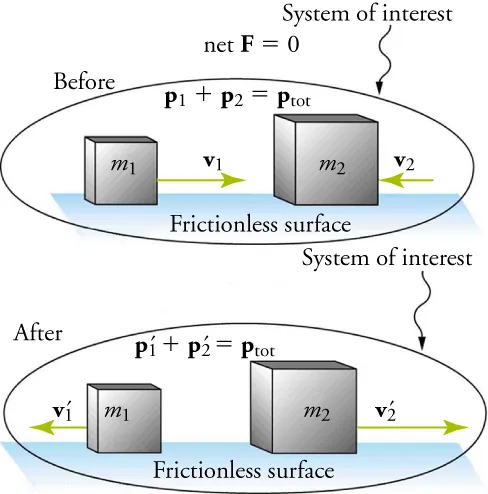 An illustration shows before and after diagrams of two boxes moving toward each other on a frictionless surface. The box on the left is labeled m one and the box on the right is labeled m two. Both diagrams are labeled System of Interest. In the before diagram, a velocity vector, v one, points from m one toward m two. A second, shorter velocity vector, v two, points from the left side of m two toward m one. Two equations are shown: p one plus p one equals p total and net F equals zero. In the after diagram, both velocity vectors point away from each mass, m one and m two. The vector on the left is shorter than the one on the right. The equation p one prime plus p one prime equals p total is shown.