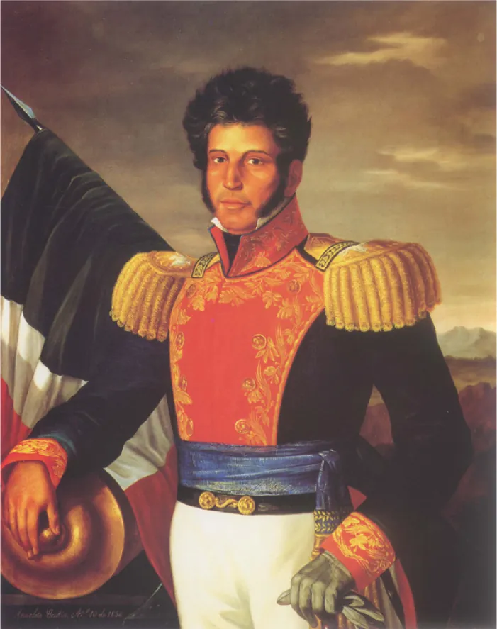 In the painting, Saldana wears an ornate military uniform consisting of white pants, a blue sash, and a dark jacket decorated with red accents and gold trim. His right-hand rests on a cannon. A flag is visible in the background.