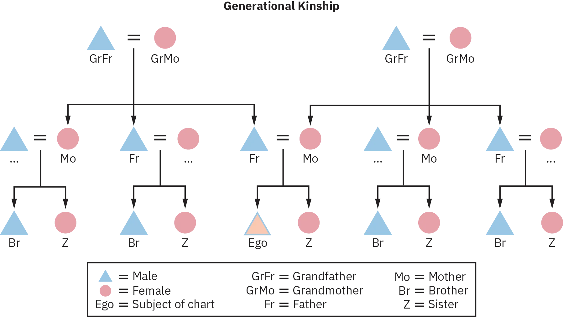 A Generational Kinship chart of three generations, starting from two sets of grandparents, as grandfather and grandmother respectively, their children, including father and mother, and their children being designated as brother and sister.