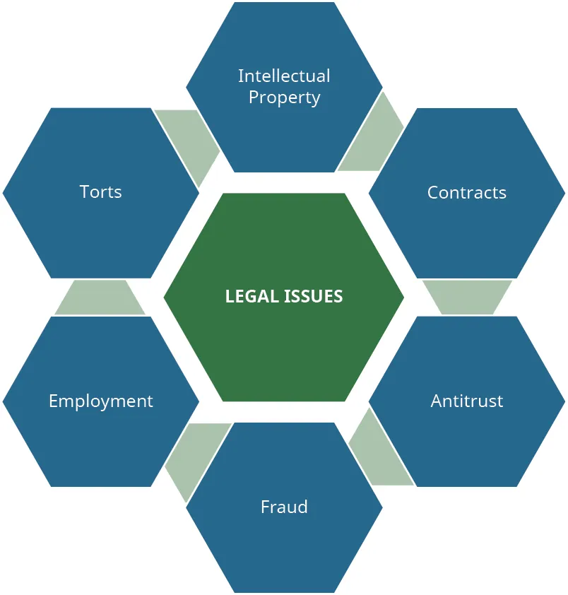 Legal Issues are composed of Intellectual Property, Contracts, Antitrust, Fraud, Employment, and Torts.