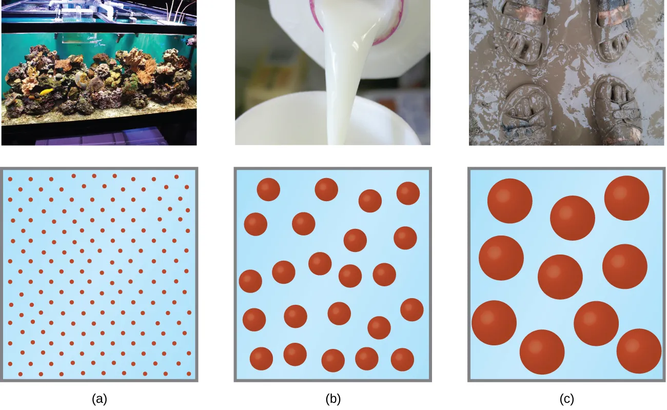 This figure contains three photos and correponding particle diagrams. In a, a photo of an aquarium containing fish is shown. The particle diagram beneath it shows 90 tiny red spheres. In b, a photo is shown of milk being poured into a cup. The corresponding particle diagram shows about 25 medium sized red spheres.In c, a photo is shown of two pairs of sandal clad feet in mud. The particle diagram below shows 10 fairly large red spheres.