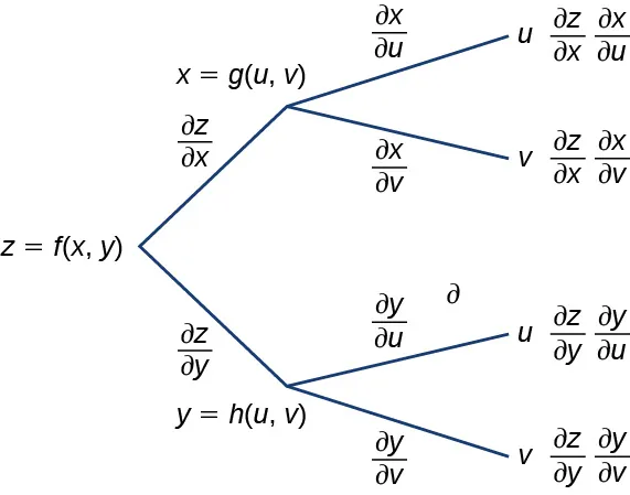 Un diagrama que comienza con z = f(x, y). A lo largo de la primera rama está escrito ∂z/∂x, luego x = g(u, v), en ese punto se divide en otras dos ramas: la primera subrama dice ∂x/∂u, luego u, y finalmente dice ∂z/∂x ∂x/∂u; la segunda subrama dice ∂x/∂v, luego v, y finalmente dice ∂z/∂x ∂x/∂v. A lo largo de la otra rama, está escrito ∂z/∂y, luego y = h(u, v), en ese punto se divide en otras dos ramas: la primera subrama dice ∂y/∂u, luego u, y finalmente dice ∂z/∂y ∂y/∂u; la segunda subrama dice ∂y/∂v, luego v, y finalmente dice ∂z/∂y ∂y/∂v.