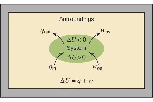 A rectangular diagram is shown. A green oval lies in the center of a tan field inside of a gray box. The tan field is labeled “Surroundings” and the equation “Δ U = q + w” is written at the bottom of the diagram. Two arrows face into the green oval and are labeled “q subscript in” and “w subscript on” while two more arrows face away from the oval and are labeled “q subscript out” and “w subscript by.” The center of the oval contains the terms “Δ U > 0”, “System,” and “Δ U < 0.”