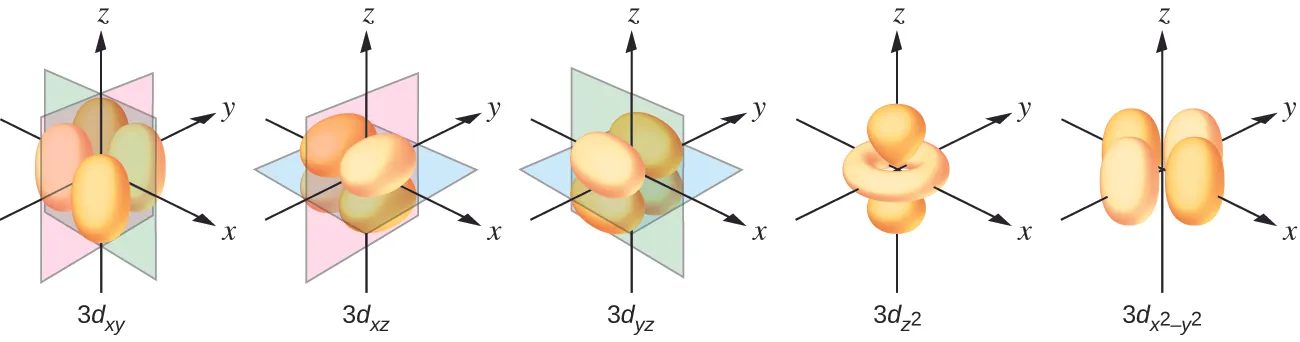This figure includes diagrams of five d orbitals. Each diagram includes three axes. The z-axis is vertical and is denoted with an upward pointing arrow. It is labeled “z” in the first diagram. Arrows similarly identify the x-axis with an arrow pointing from the rear left to the right front, diagonally across the figure and the y-axis with an arrow pointing from the left front diagonally across the figure to the right rear of the diagram. These axes are similarly labeled as “x” and “y.” The first through third diagrams show four orange balloon-like shapes. These diagrams differ however in the orientation of the shapes along the axes and the x-, y-, and z-axis labels have each been replaced with the letter L. Planes are added to the figures to help show the orientation differences with these diagrams. In the first diagram, a green plane is oriented vertically through the length of the x-axis and a blue plane is oriented horizontally through the length of the y-axis. The balloon shapes extend from the origin to the spaces between the positive z- and negative y- axes, positive z- and positive y- axes, negative z- and negative y- axes, and negative z- and positive y- axes. This diagram is labeled, “3 d subscript ( y z ).” In the second diagram, a green plane is oriented vertically through the x- and y- axes and a blue plane is oriented horizontally through the length of the x-axis. The balloon shapes extend from the origin to the spaces between the positive z- and negative x- axes, positive z- and positive x- axes, negative z- and negative x- axes, and negative z- and positive x- axes. This diagram is labeled “3 d subscript ( x z ).” In the third diagram, a pink plane is oriented vertically through the length of the y-axis and a green plane is oriented vertically through the length of the x-axis. The balloon shapes extend from the origin to the spaces between the positive x- and negative y- axes, positive x- and positive y- axes, negative x- and negative y- axes, and negative x- and positive y- axes. This diagram is labeled, “3 d subscript ( x y ).” The fourth diagram has a pair of the orange balloon-like shapes are present and extend from the origin above and below along the vertical axis. An orange toroidal or donut shape is positioned around the origin, oriented through the x- and y- axes. This shape extends out to about a third of the length of the positive and negative regions of the x- and y- axes. This diagram is labeled, “3 d subscript ( z superscript 2 ).” In the fifth diagram, four orange balloon-like shapes extend from a point at the origin out along the x- and y- axes in positive and negative directions covering just over half the length of the positive and negative x- and y- axes. Beneath the diagram is the label, “3 d subscript ( x superscript 2 minus y superscript 2 ).”